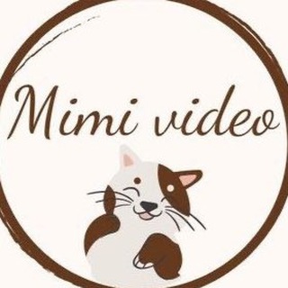 Логотип канала mimi_video