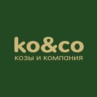 Логотип koicocompany