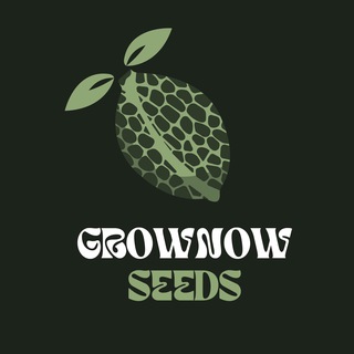 Логотип grownowshop