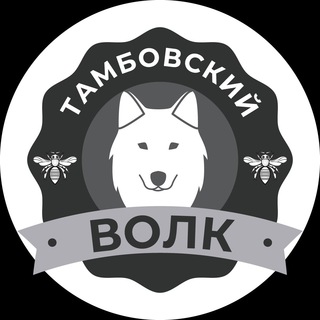 Логотип канала tebe_tovarish