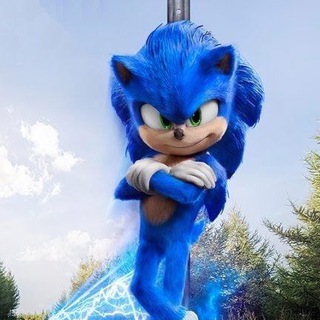 Логотип sonic_acc