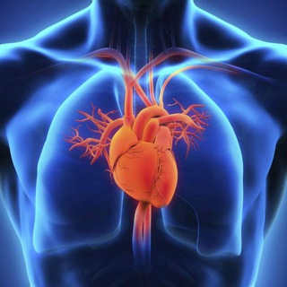 Логотип канала internal_cardiologist