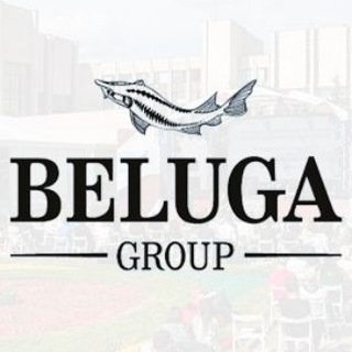 Логотип канала belugagroup