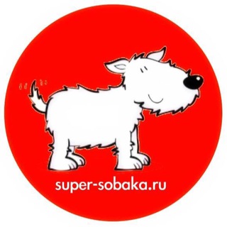 Логотип канала supersobakas