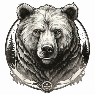 Логотип канала sib_questions