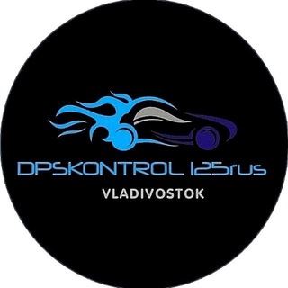 Логотип dpskontrol_125rus