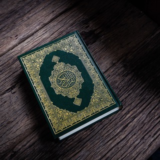 Логотип канала lis_quran