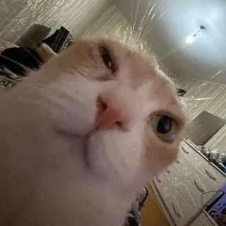 Логотип coji9ihka