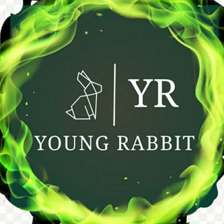 Логотип канала young_rabbit_shop