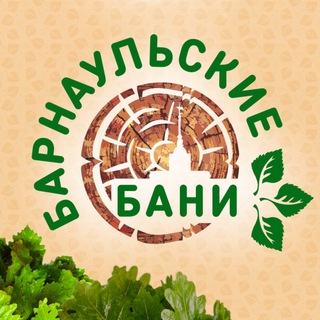 Логотип канала barnaulbani