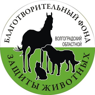 Логотип канала zoocenterdino