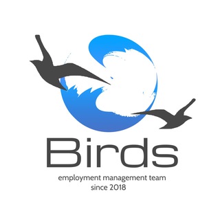 Логотип birds_team