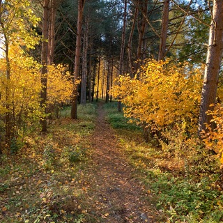 Логотип канала finland_info