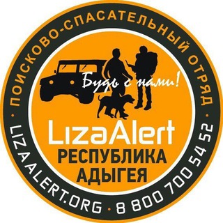 Логотип канала lizaalert01