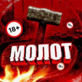 Логотип канала molottnews