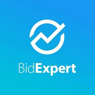 Логотип bidexpert