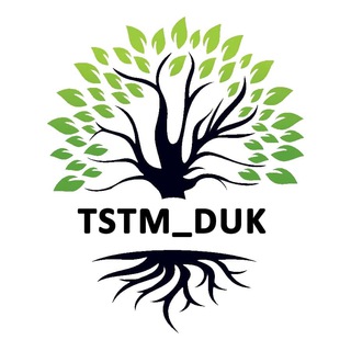 Логотип канала tstm_duk