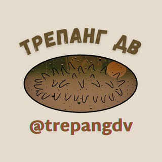 Логотип trepangdv