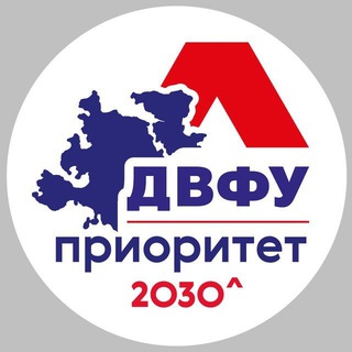 Логотип канала dvfu2030