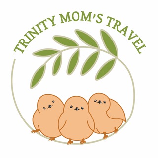 Логотип канала trinitymomstravel