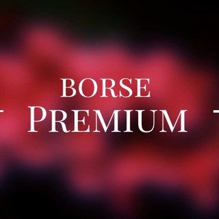 Логотип канала borse_casa_premium