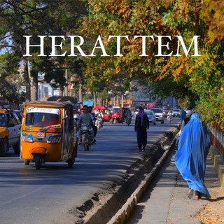 Логотип herat_tem