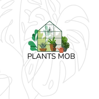 Логотип канала plantsmob