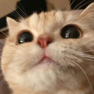Логотип канала somemeow