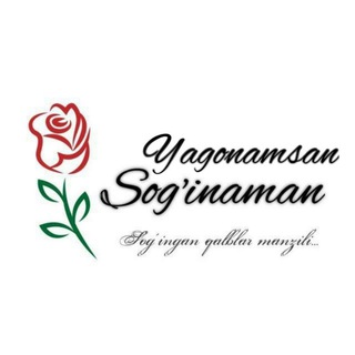 Логотип канала yagonamsan_soginaman