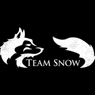 Логотип канала snowteams