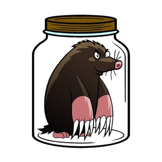 Логотип zovkrot