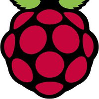 Логотип канала raspberry_pibrasil