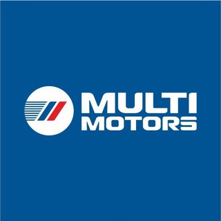 Логотип multimotors_ev