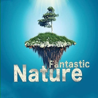 Логотип канала fantastic_nature