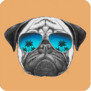 Логотип канала luckyfatpug