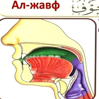 Логотип канала maxrajlar_tajvid