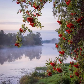 Логотип канала rossturizm