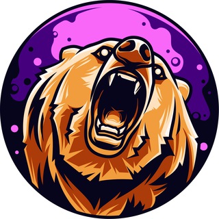 Логотип канала bearcryptoinformator