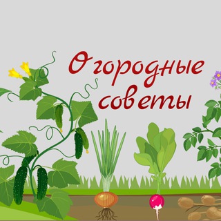 Логотип канала agronom_sssr