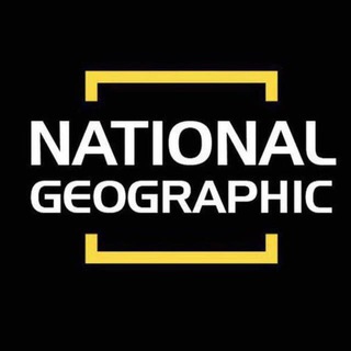 Логотип канала natgeohub