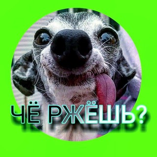 Логотип AAAAAEVKnwoLjsVWAex4rw