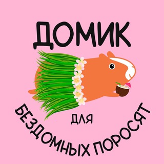 Логотип канала domiksvinok