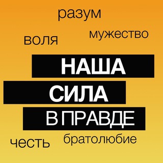 Логотип канала silavpravbe