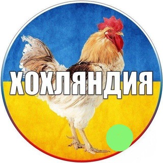 Логотип xoxol_net