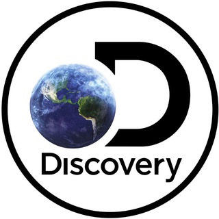 Логотип discovery_club