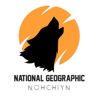 Логотип канала nohchiynnationalgeographic