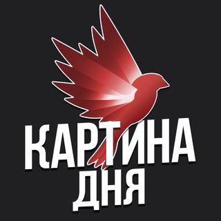 Логотип канала kartinadnyaa