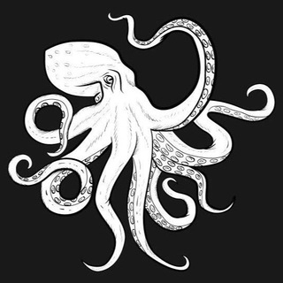 Логотип nakrytka_octopus