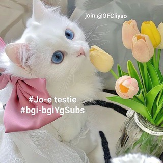 Логотип ofcliyso