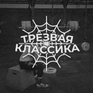 Логотип канала millerstore